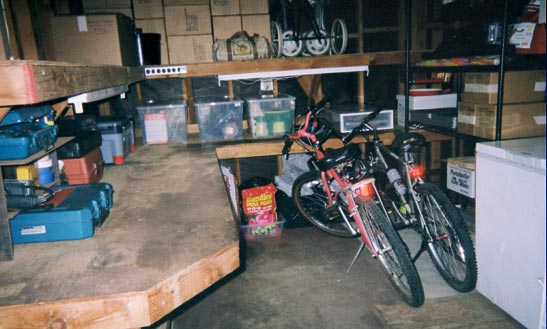 Organized Storage Shed